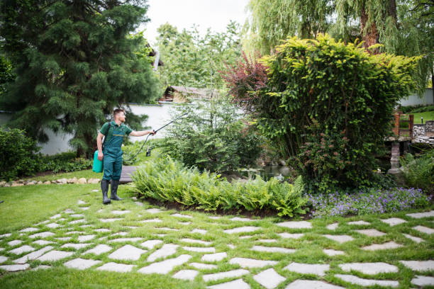 Best Lawn Grading and Leveling  in Lost Hills, CA